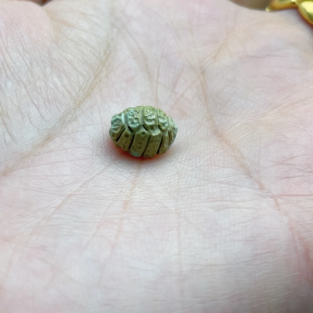 南红玛瑙未镶嵌珠宝奇石