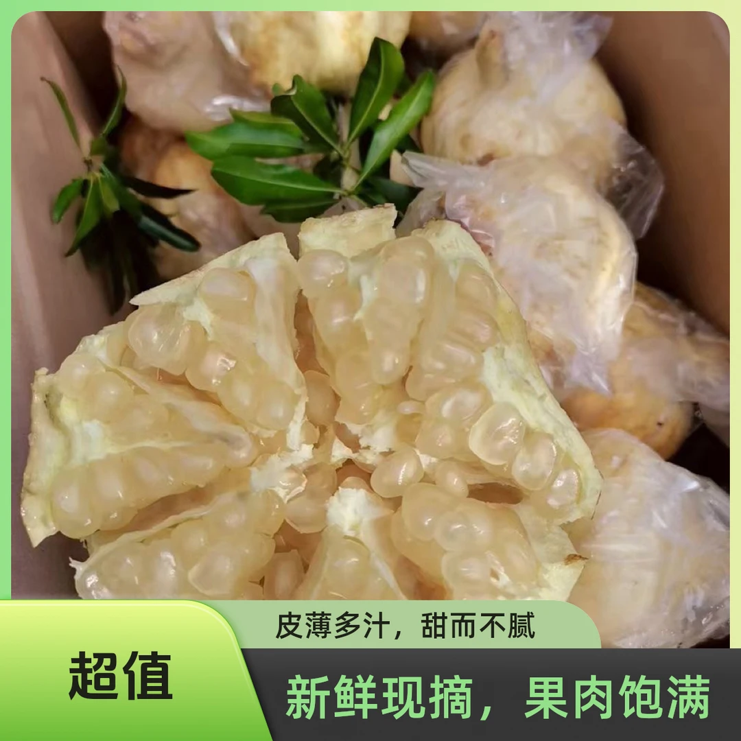 【怀远石榴】怀远特产白花玉石籽10斤箱