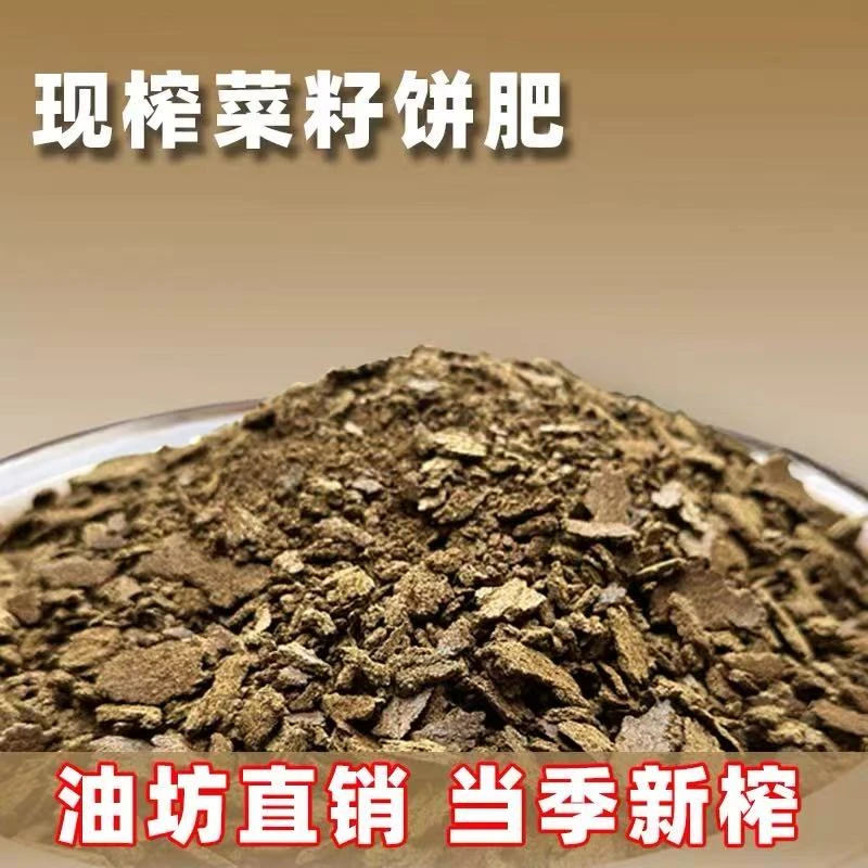 新鲜菜籽油枯有机营养肥果园松针蔬菜种花菜籽饼钓鱼打窝野钓饵料
