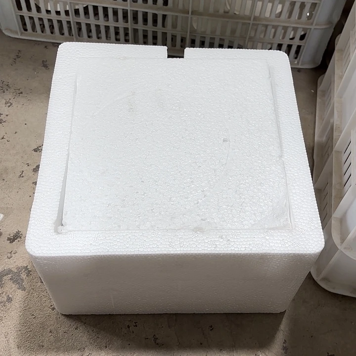 碟666 工厂库存微瑕产品