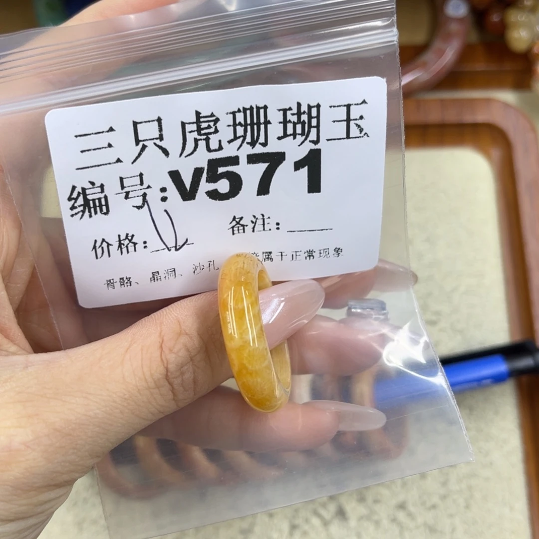S***硅化珊瑚（珊瑚玉）未镶嵌h