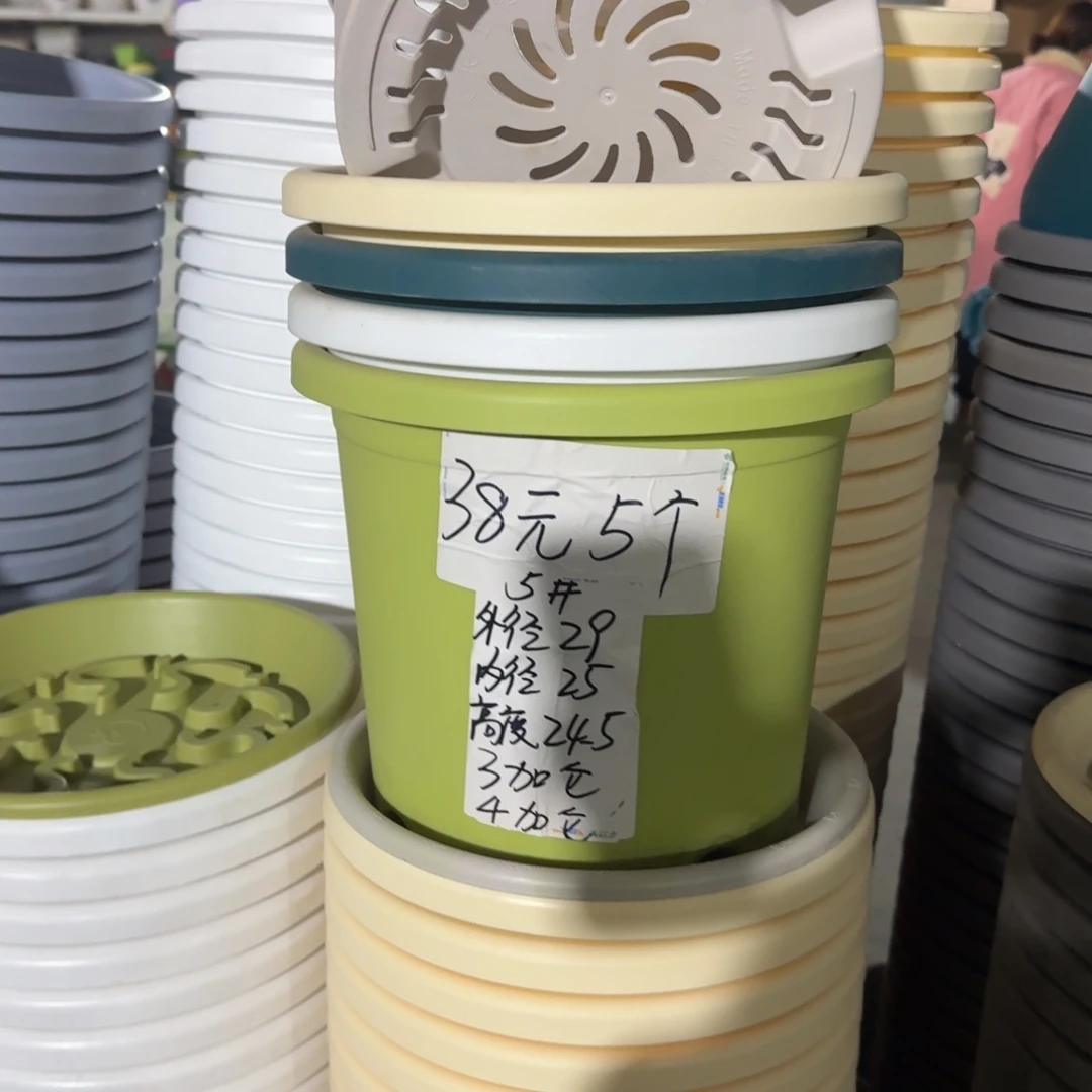 四季5#口径29无拖果绿10个