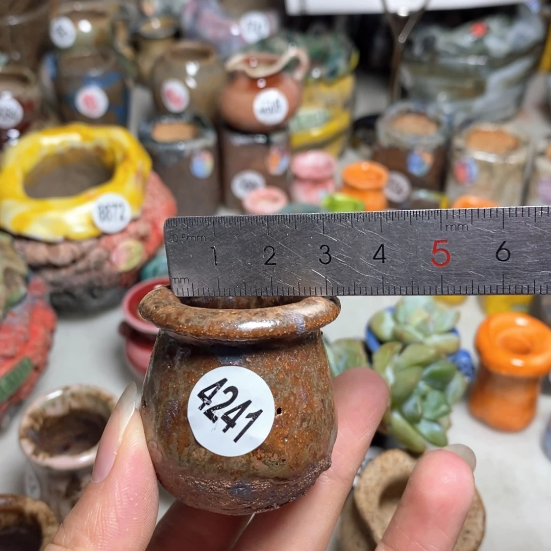 拍5送一个小礼物