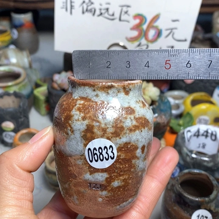 拍5送一个小礼物花盆