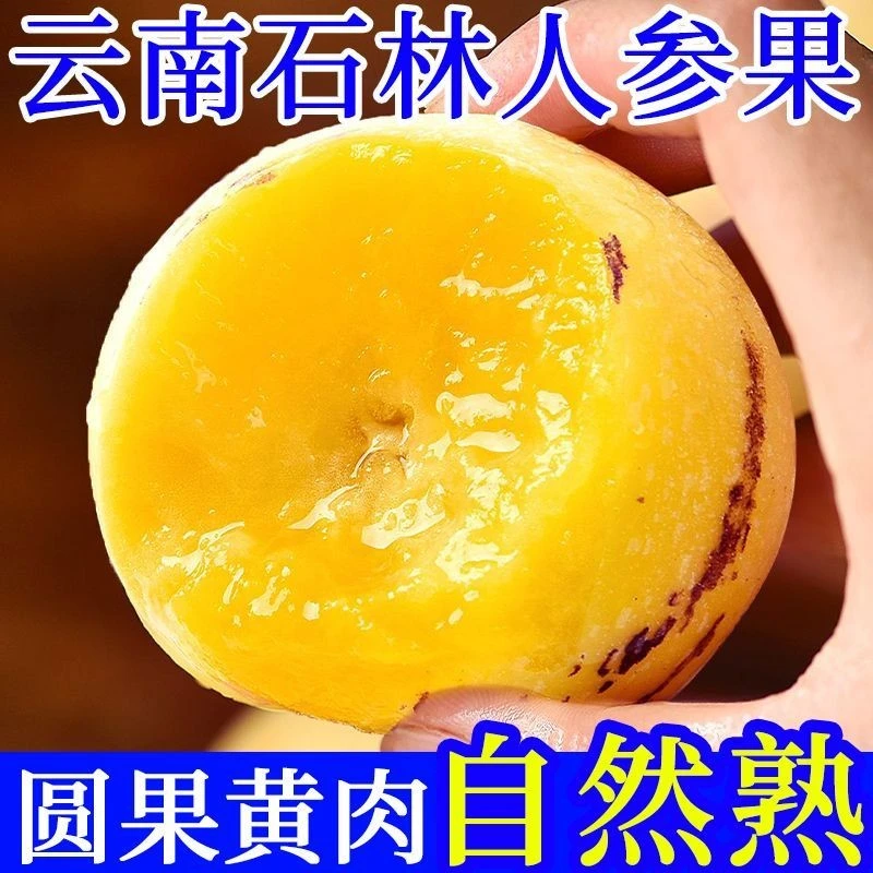 云南石林高原人参果新鲜树上自然成熟黄肉圆果清甜多汁