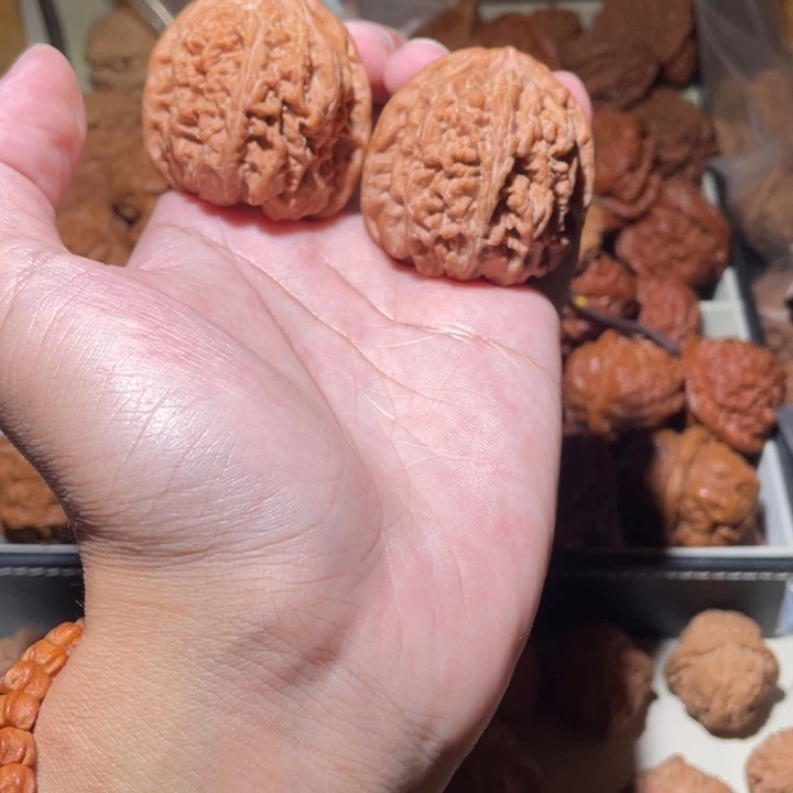 量***42全品无修原桩粗筋