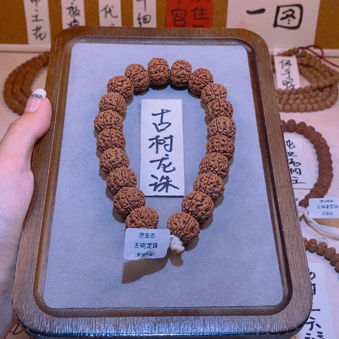 金刚菩提手串古树龙珠