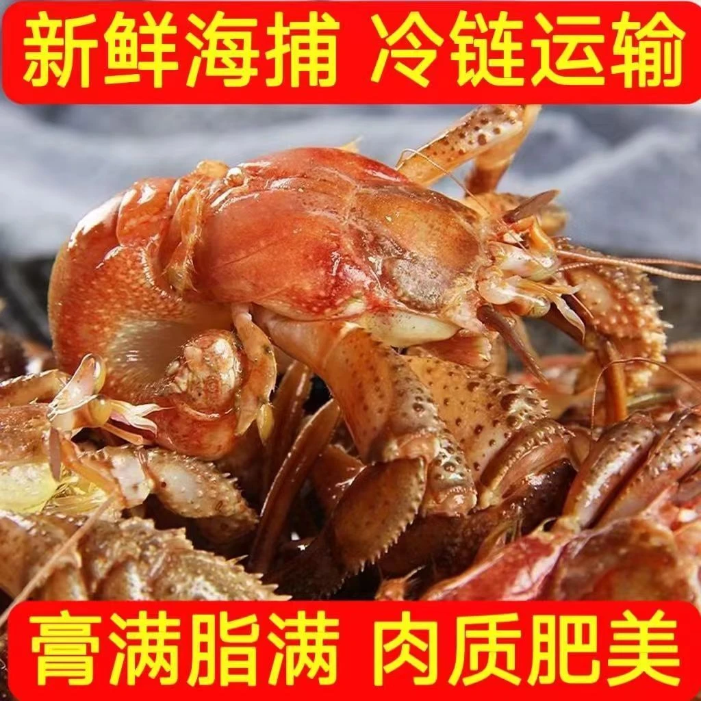 【山东威海】鲜活带壳虾怪海怪新鲜大个虾怪海鲜水产顺丰包邮
