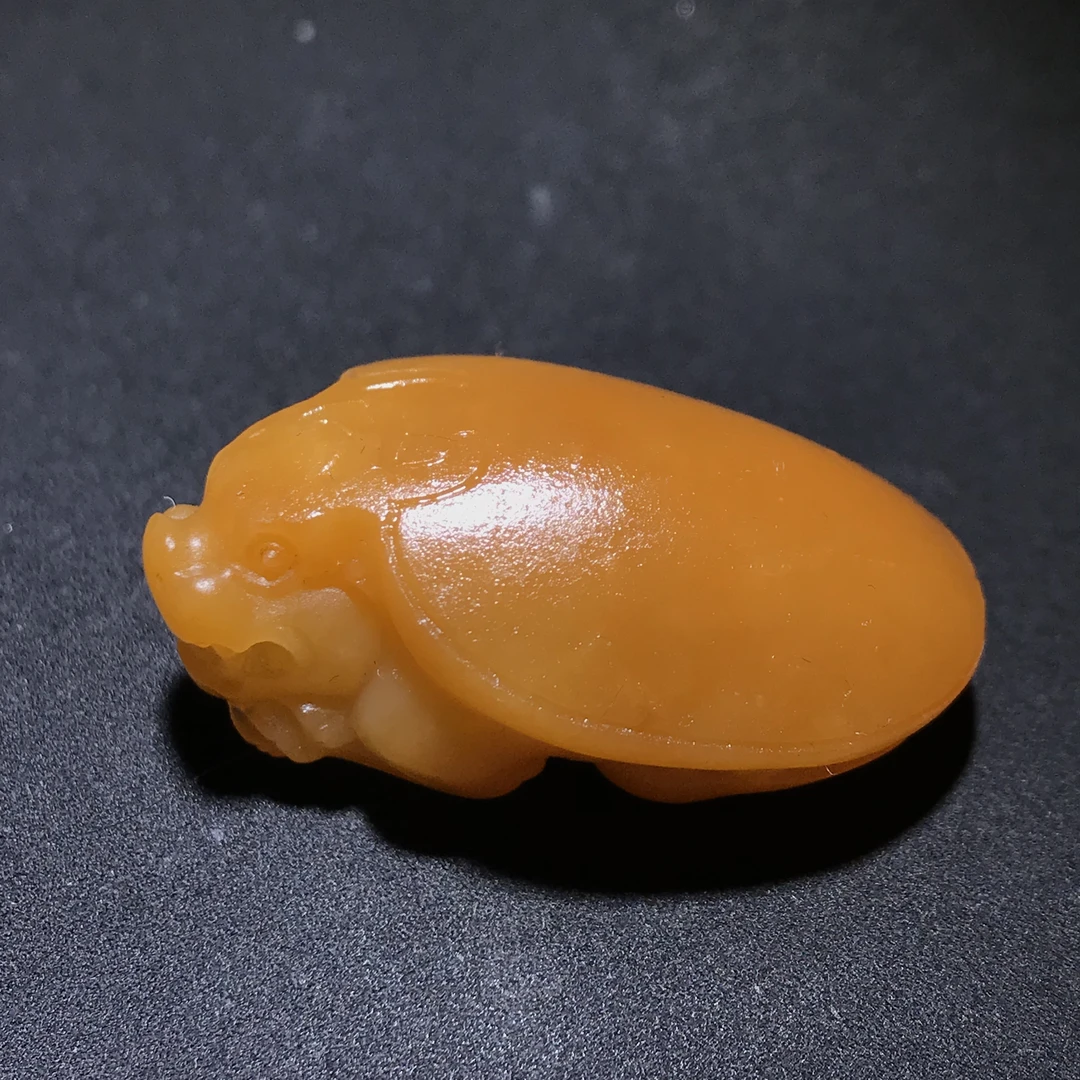 13克新疆和田玉龙龟