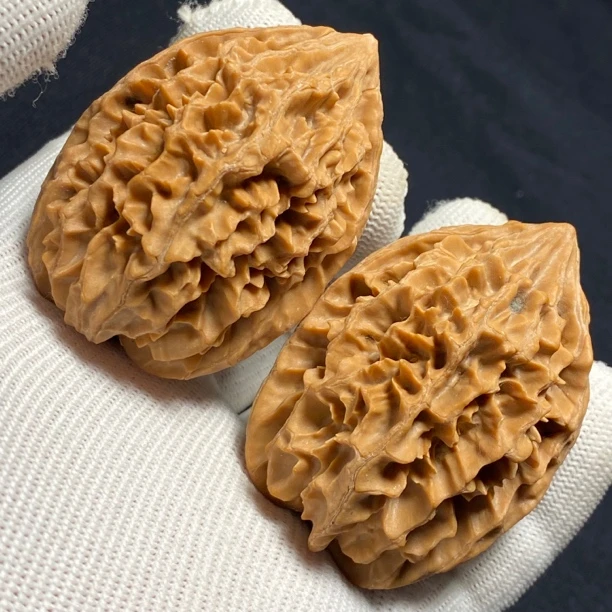 41全品招财鼠核桃一物一图，边41肚43高56/57（011）