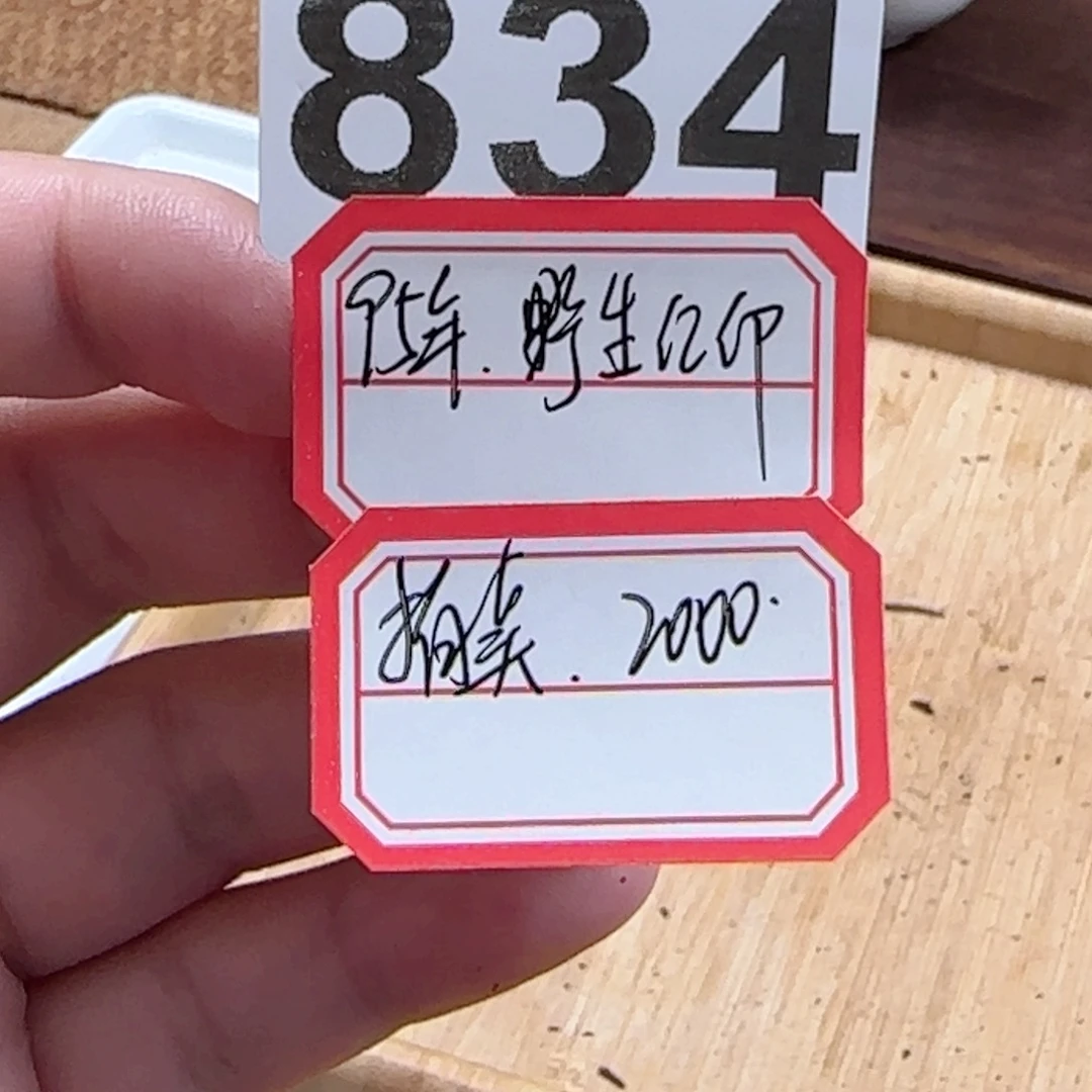 淡***性紫砂1834……………………………………
