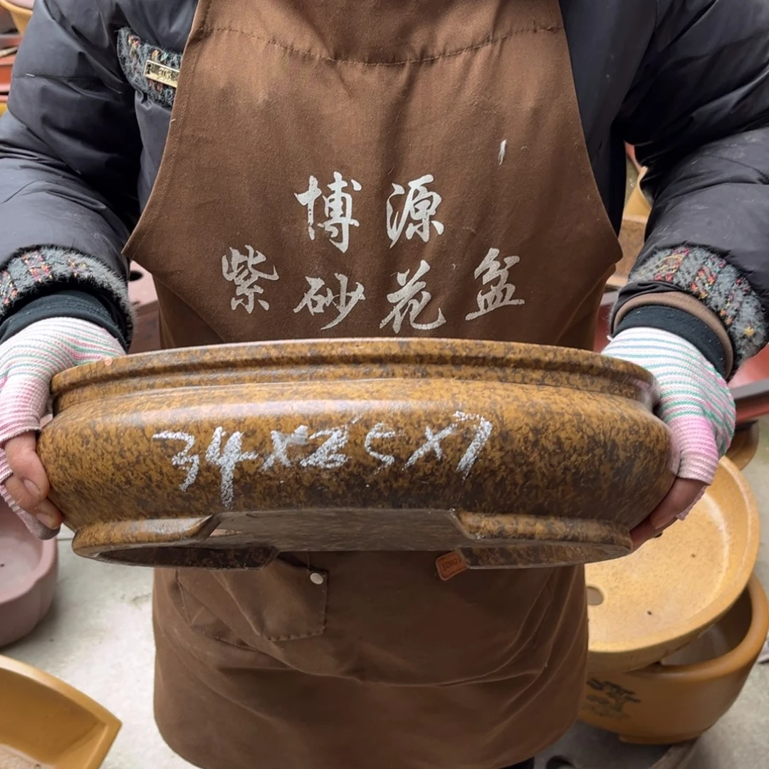 花盆紫砂盆景艺术