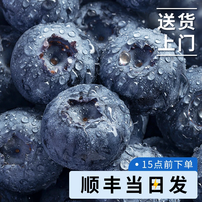 【拍三盒送三盒】云南高山蓝莓新鲜脆甜花香蓝莓鲜果现摘新鲜水果