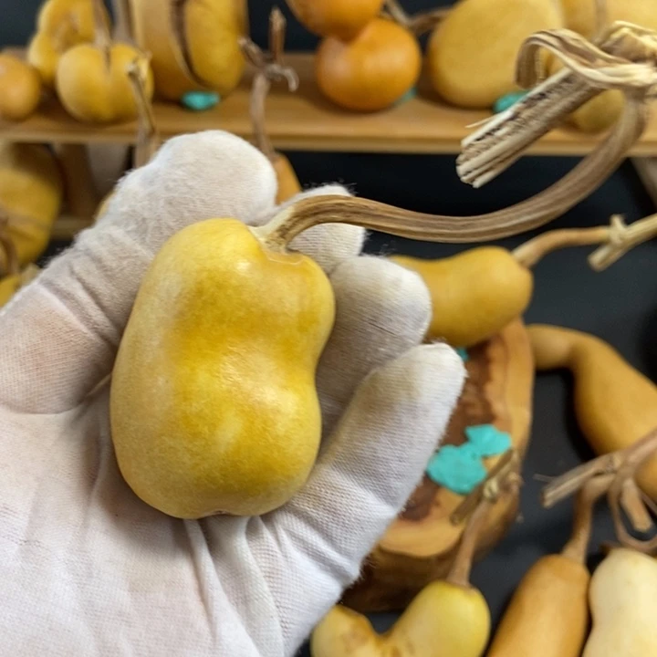 Y****?葫芦葫芦真的