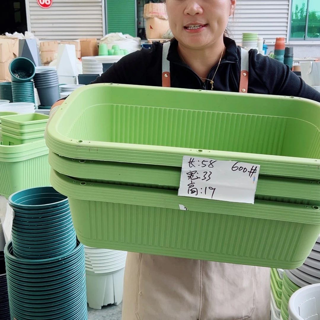 菜盆600#果绿色3个无托