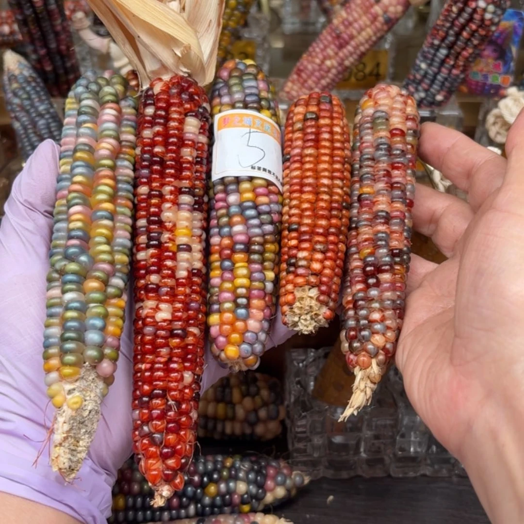 柏香籽/百香籽吊坠S*