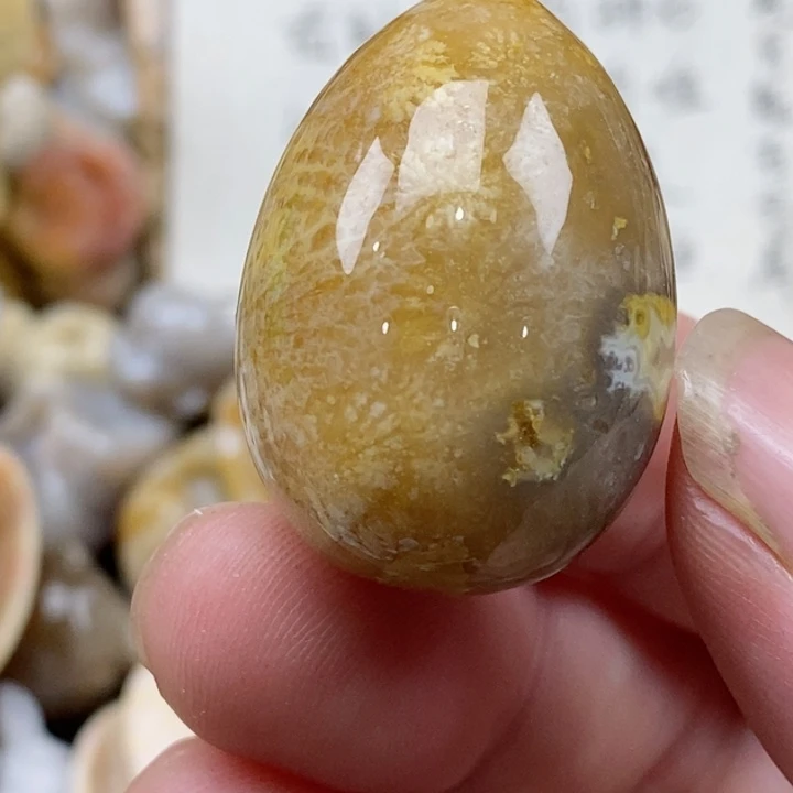 颈饰未镶嵌硅化珊瑚（珊瑚玉）