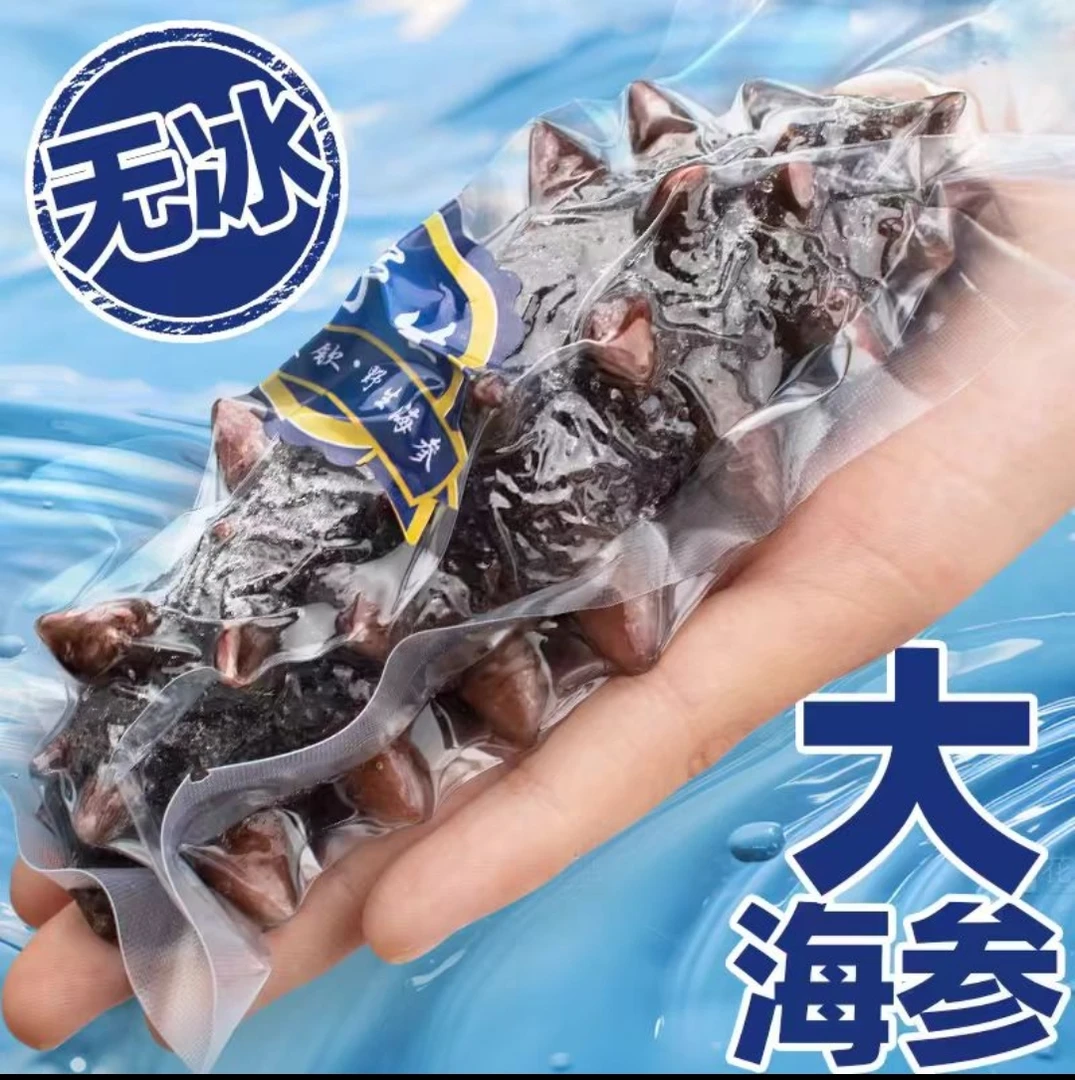 鲜食即食即食海参