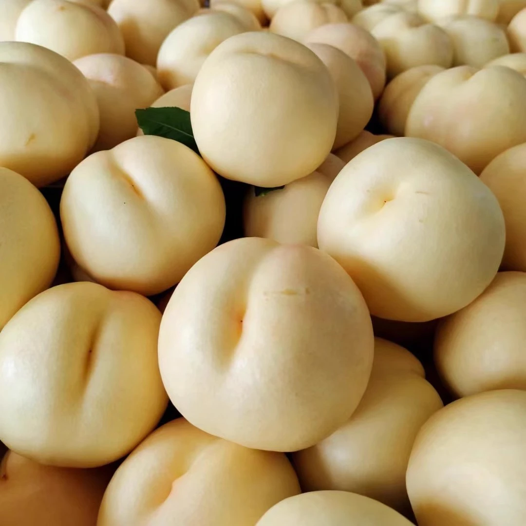 【坏果包赔】现货辽宁白桃奶油蜜桃应季无毛桃子水果水蜜桃新鲜现摘