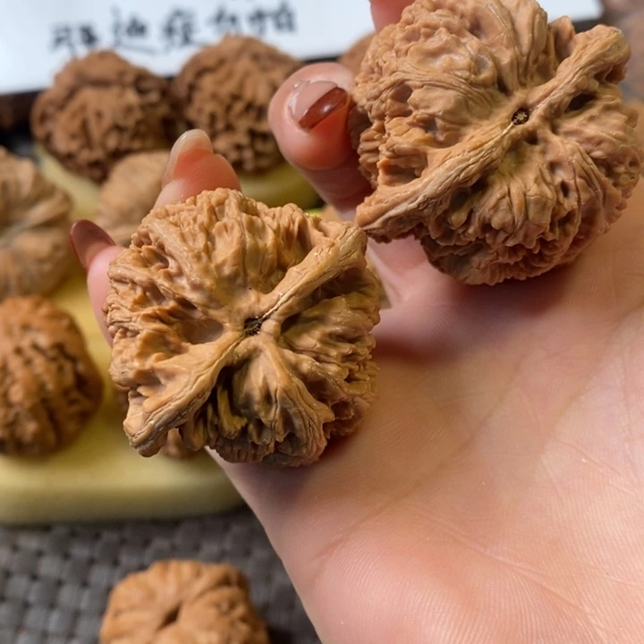 雨*?将军榜全品44无修无修