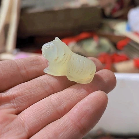 香榧木用****己Ggfyhggggggvcgvg