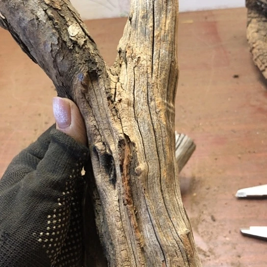 大果紫檀（缅甸花梨）啤***半