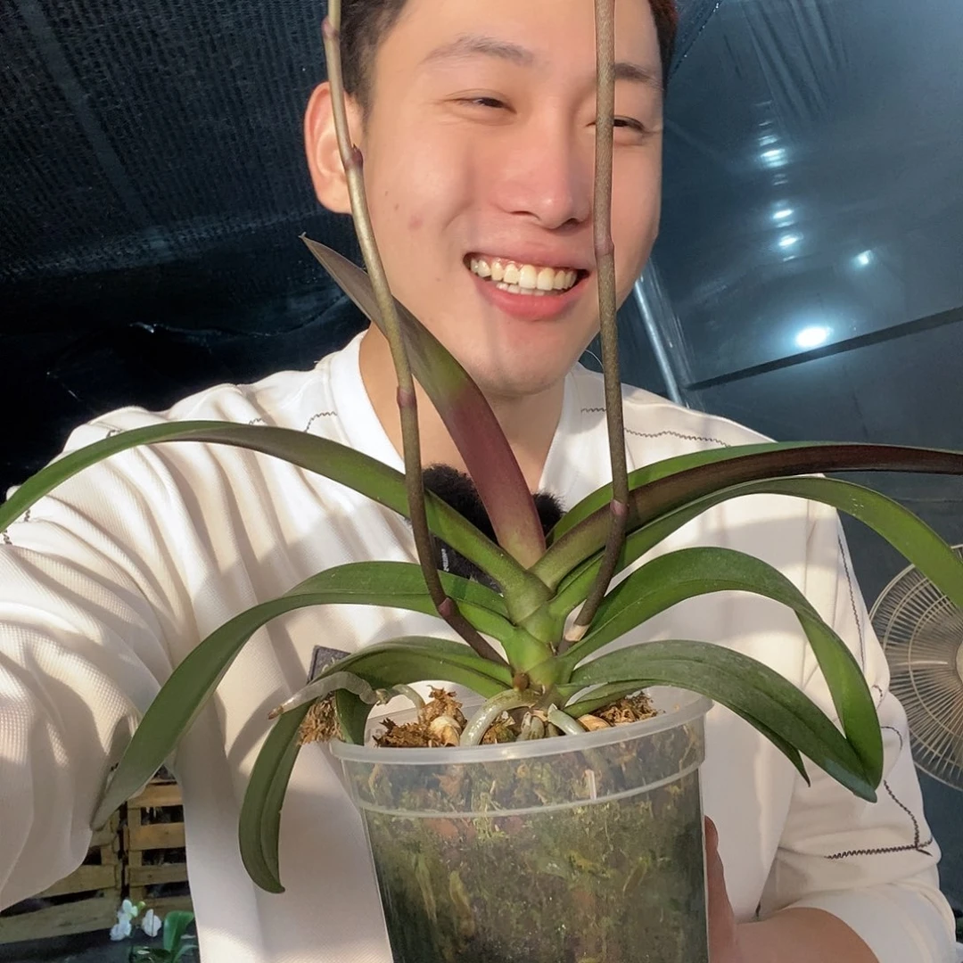 无花朵密尔沃基4.8