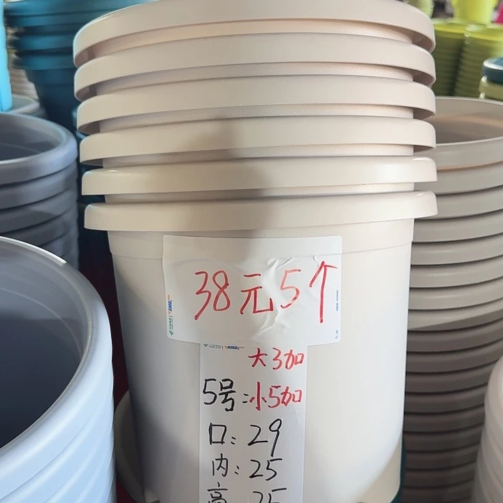 微瑕5#灰白6个无托