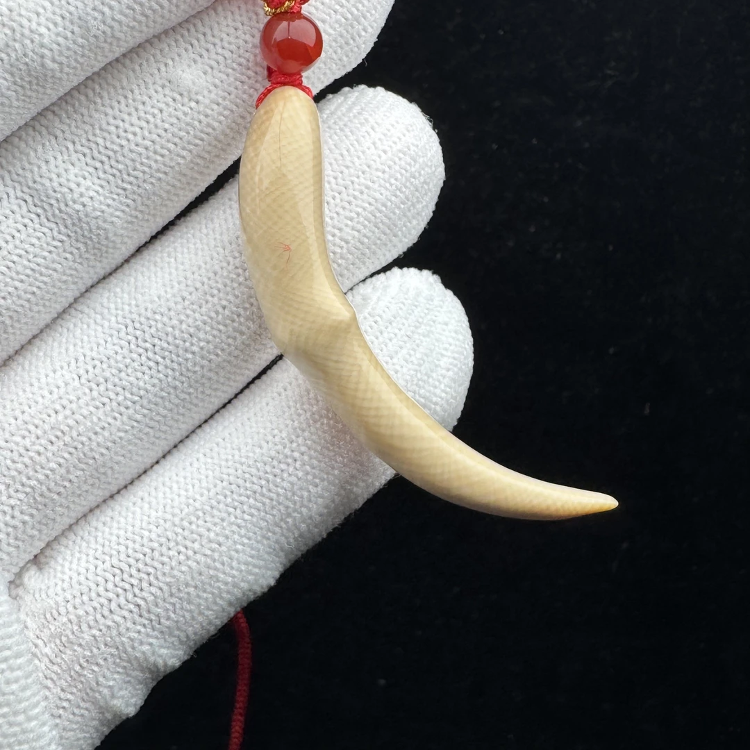 L4034天然猛犸牙 雕刻牙尖53.4mm支持鉴定 假一罚四