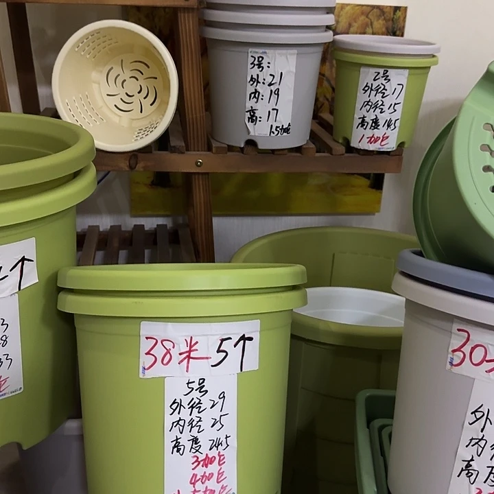 果绿色10号无托2个