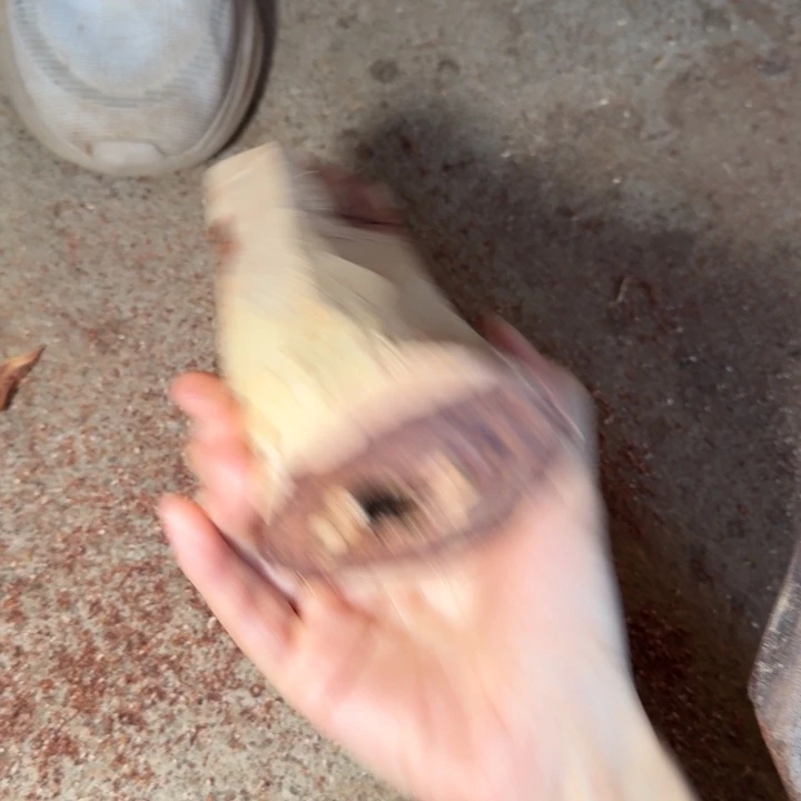 风***路木海南，海北飞灰尘。甘受商于仪诳楚