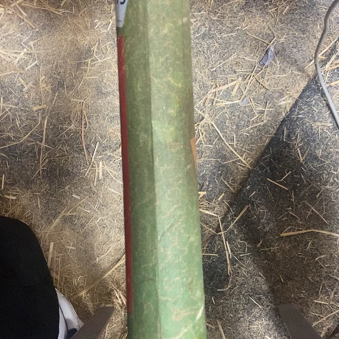 有机玻璃晚上吃什么呢，晚上吃什么呢，晚上
