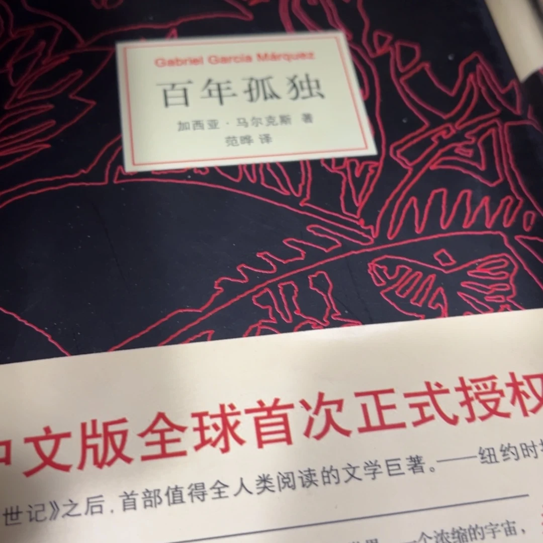 百年孤独精装一个