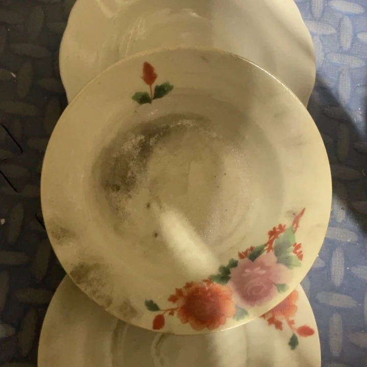 瓷片景德镇陶瓷博物有限公司成立