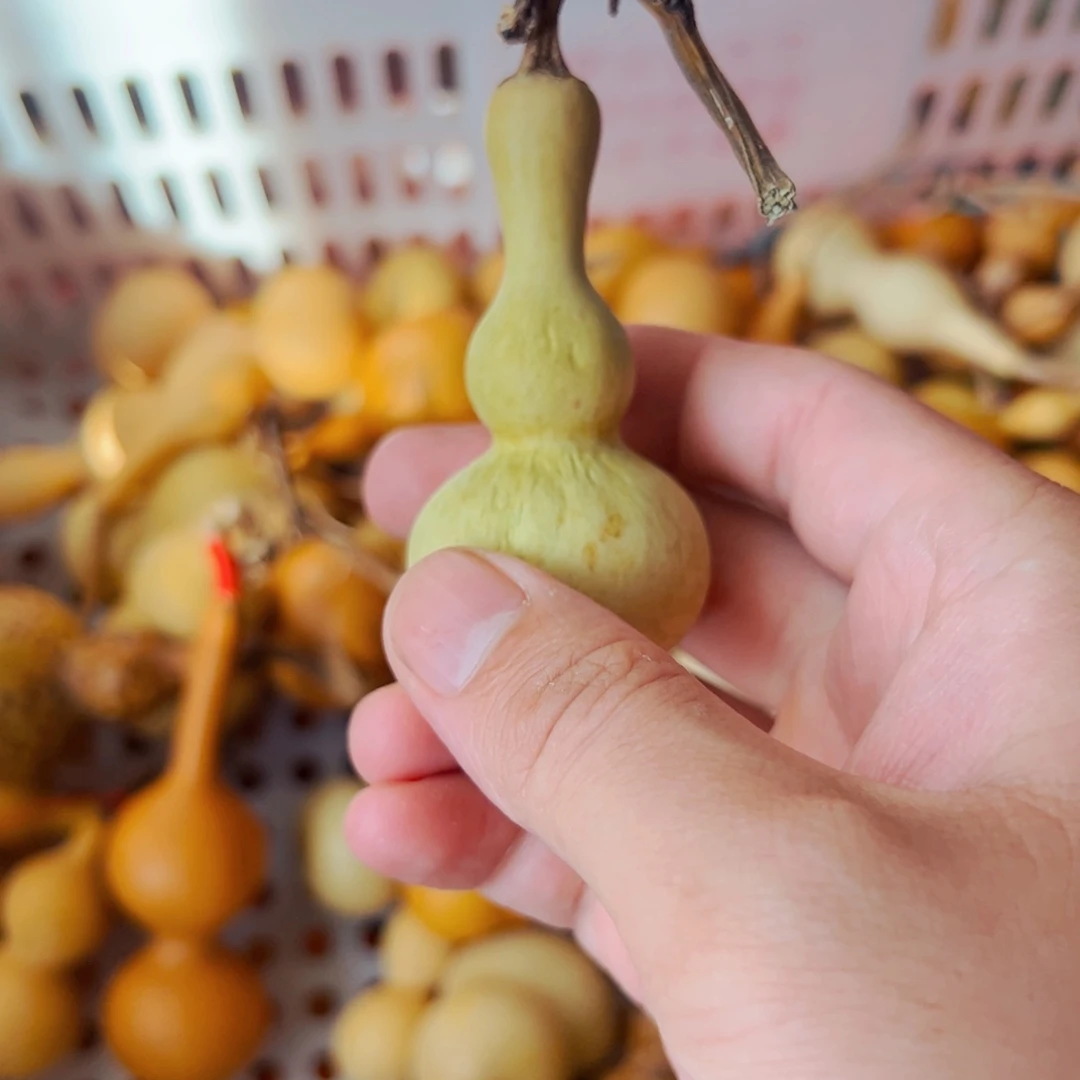 葫芦娃娃娃娃娃娃