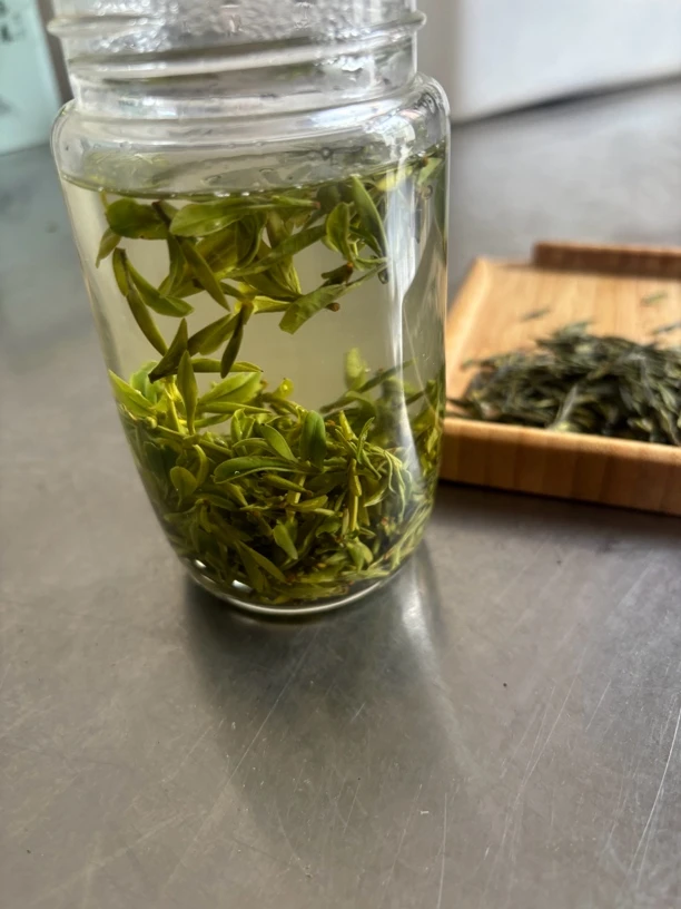 本地正宗捺山绿杨春2025年扬州特产扬州人的茶叶