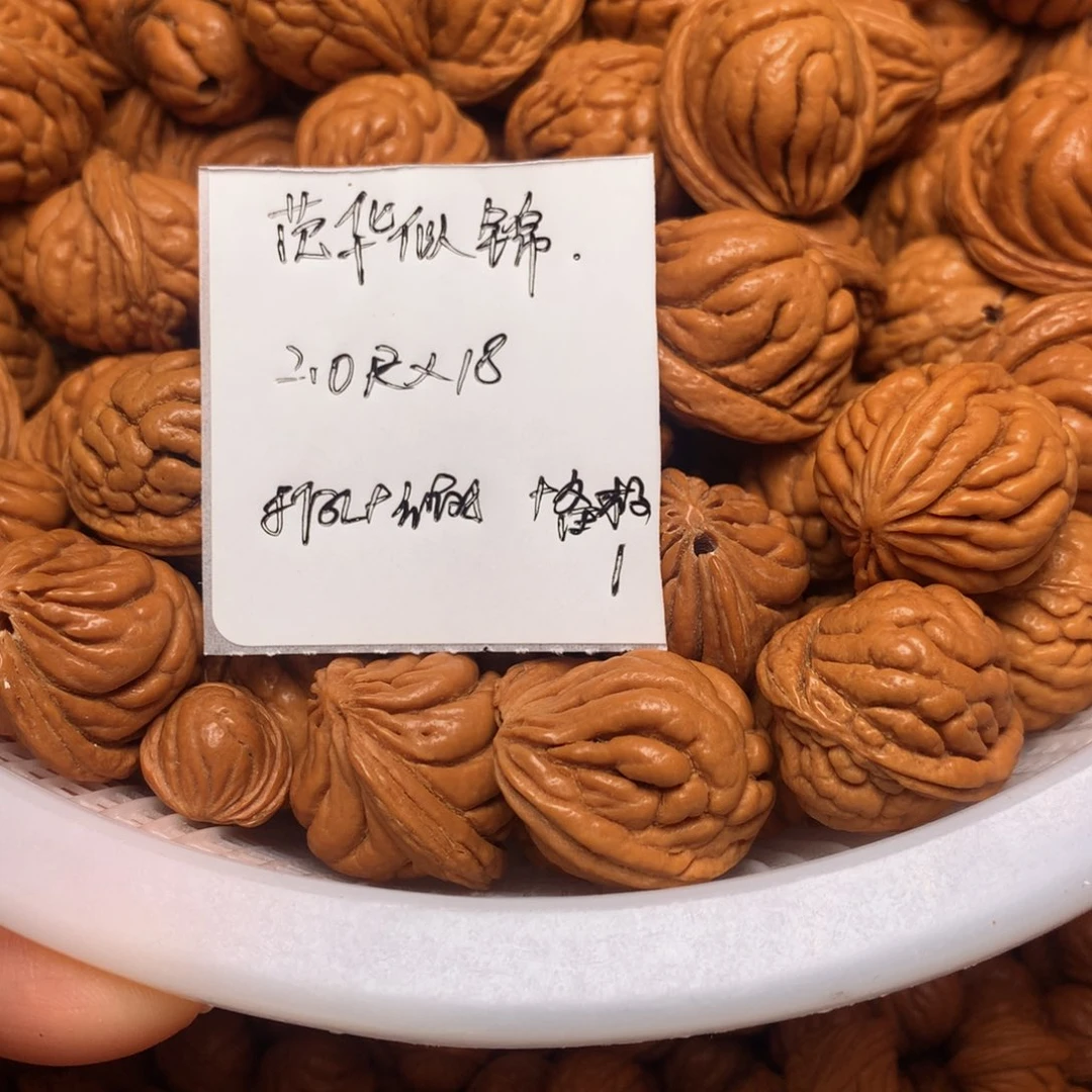 龙纹桃核霸王龙—