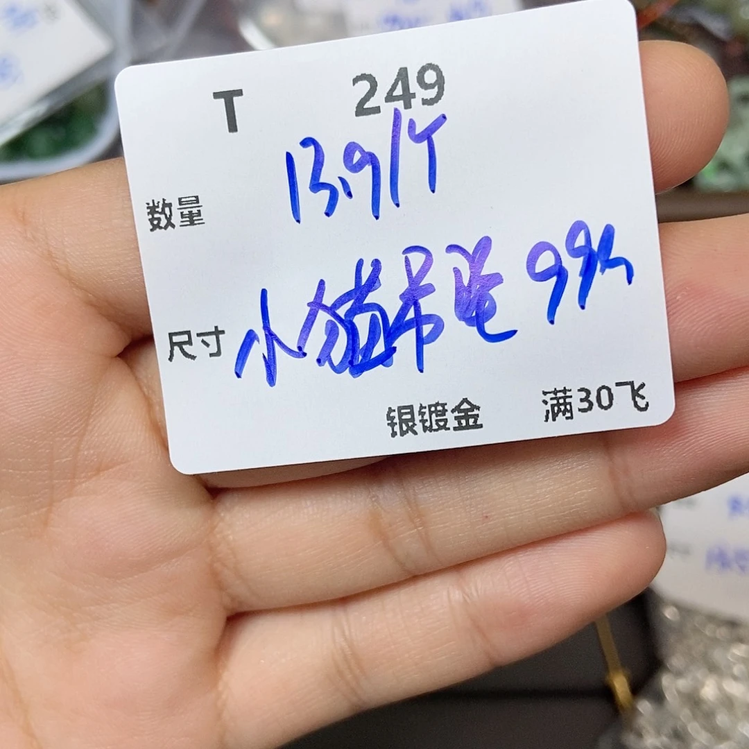 颈饰银S925镶嵌水晶T249