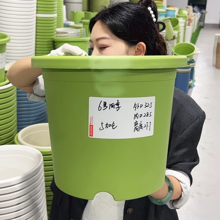 特价6号四季口32.5高27.7白色7只无托