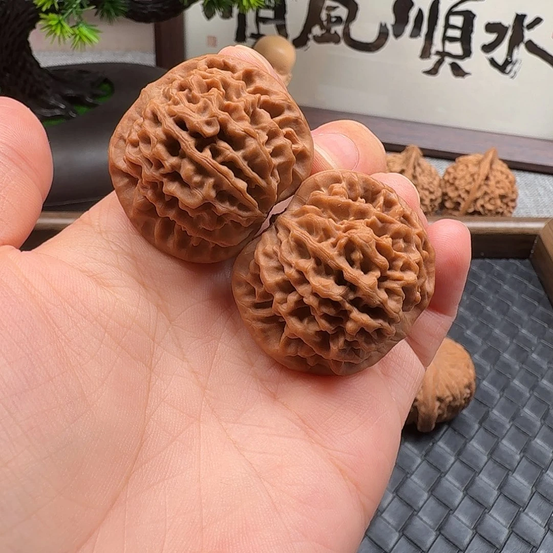 核桃全品新果秦闷37