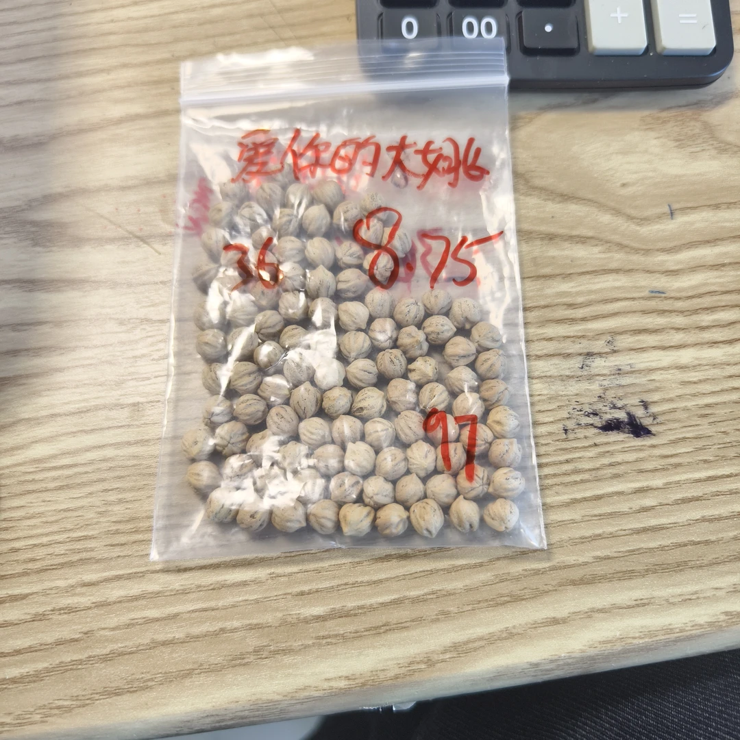 热振柏香籽散籽原料