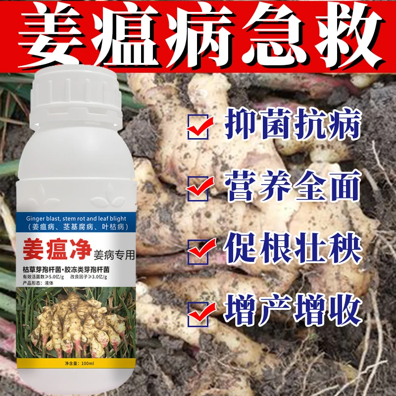 姜瘟病生姜病干尖黄叶全治微生物菌剂清姜温灵净生姜专用药正品