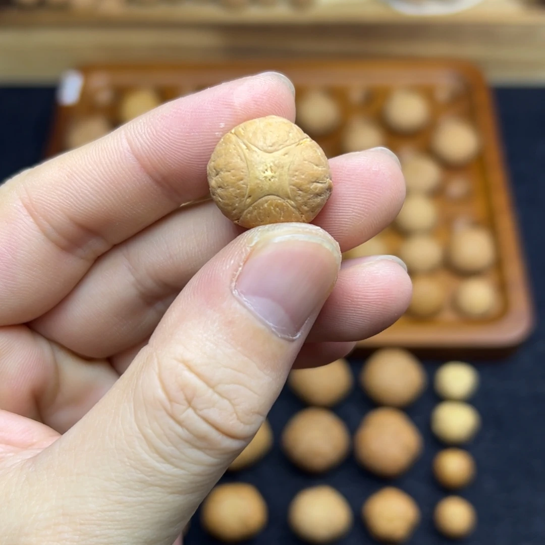 凤眼菩提手串19.6麒麟眼
