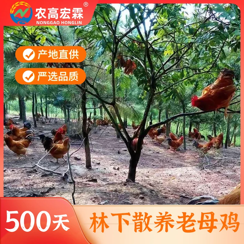 重庆云阳非遗特产风味桃园鸡卤鸡手撕鸡肉熟食开袋即食冷盘菜