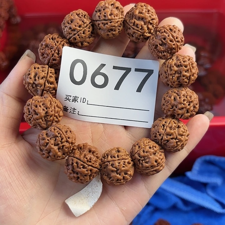 金刚菩提手串000677