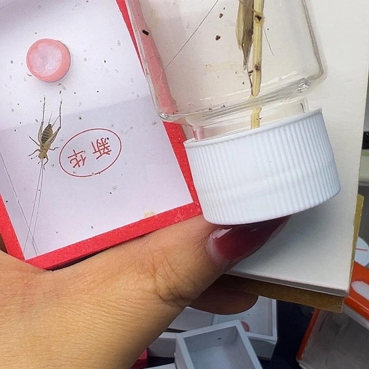 鑫***r哈哈哈哈哈哈哈哈哈哈哈
