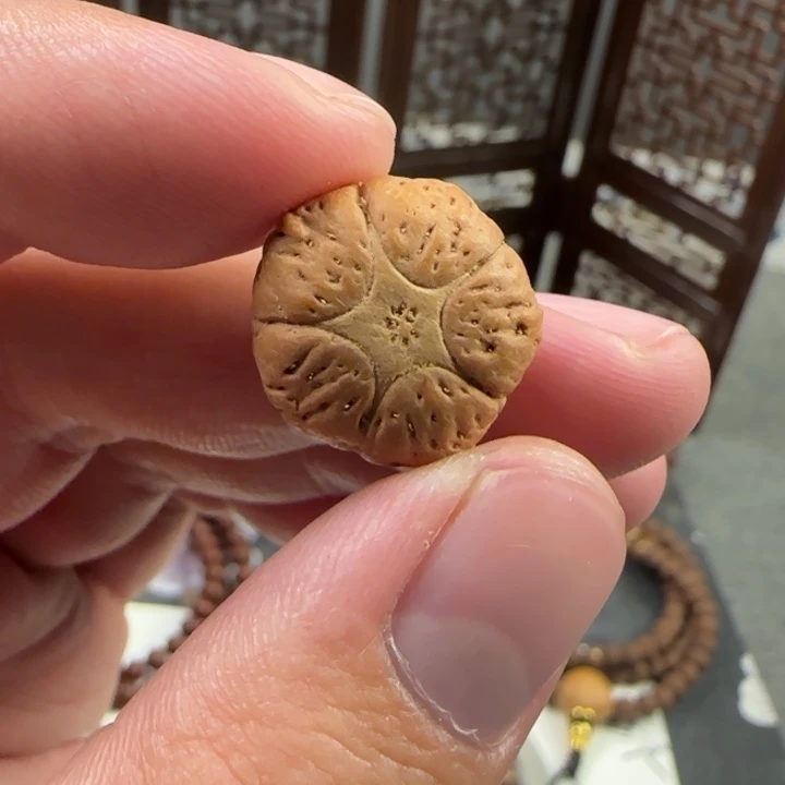 莲花菩提吊坠五星三通