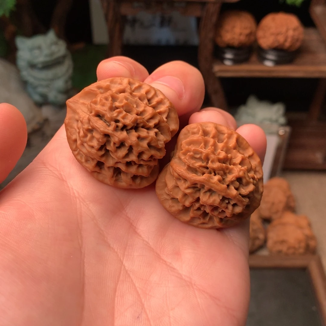 核桃36尺寸三角头货秦闷