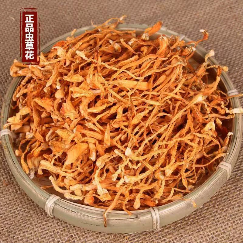 虫草花～～高端滋补品～云南边境大集现收