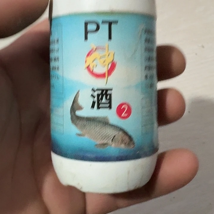 东田酒一单一个Pt